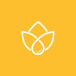 AGAVI Institute | Professional Training & Courses