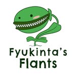 Fyukinta’s Carnivorous Flants