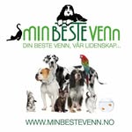 MinBesteVenn AS