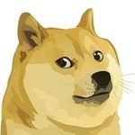 Dogecoin Investors