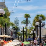 Napier City Business Inc.