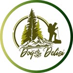 🌲⛺️ Doğa Delisi 🌲⛺️