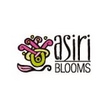 Luxury Wholesale Flowers – Ecuador to U.S. | Farm-Fresh Flowers