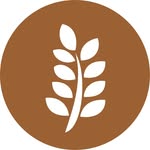 The Source Bulk Foods Geelong