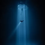 Fonsi DIVE Adventures