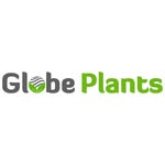 3D Landscape and Foliage