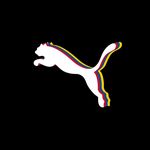 PUMA Nordic