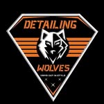 DETAILING WOLVES™️