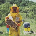 Μελίχρυσο Μακεδονίας