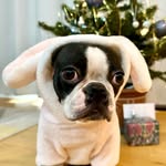 Bessie Boston