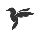 Baja Basics Natural Beauty