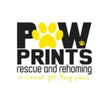 Paw Prints