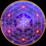 The Law Of Attraction