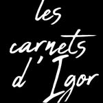 Igor - Community Manager - Créateur de Contenus