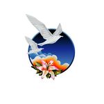 New Image International