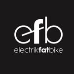 Electrik Fat Bike