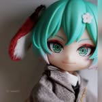 🐿️金🦉