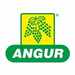 Angur Pulses
