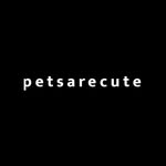 PETSARECUTE PET SHOP 🇲🇾