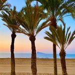 Benidorm All Year Round
