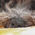 ᗷOᑎᑕᑌK & ᗷᗩᖇᗩK 🖤🦋