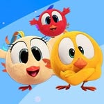 Where's Chicky? 🐥