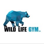 Wild Life Gym - Squamish