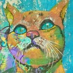 Gatos Urbanos