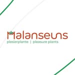 Malanseuns