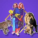 Animal Replicas / Soft Sculpture