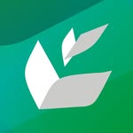 Seedbox Philippines