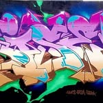 Disek