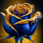 Carbone Rosa