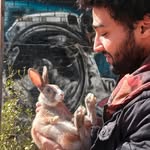 أحمد إبراهيم رفاعى