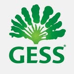German European School Singapore