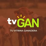 GANADO l INSUMOS AGROPECUARIOS l PUBLICIDAD