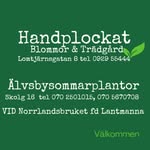 Handplockat Blommor & Trädgård