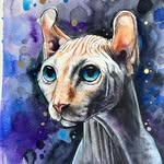 Pet Portrait & Animal Artist