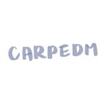 Carpedm Studio
