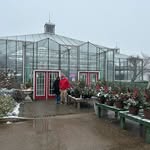 Countryside Flower Shop, Nursery & Garden Center, Elburn