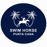Swim Horse Punta Cana