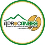 Productores | Beneficiadores | Exportadores| Café