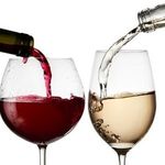 one day one wine