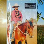 Showdown Rugs