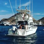 Picudo Sportfishing Cabo