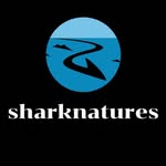 Shark photo’s and video’s