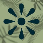 EVERGREEN • ايفرجرين