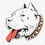 pet_bully00