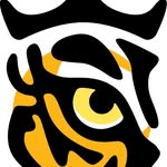 tiger princess dance projects