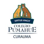 Colegio Pumahue Curauma